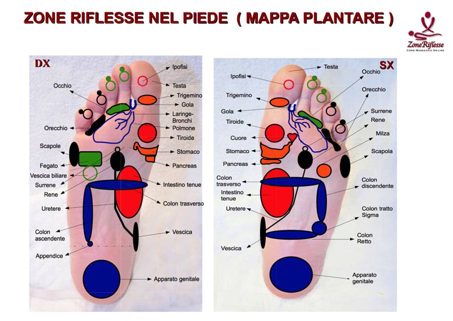riflessologia